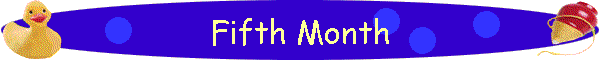 Fifth Month