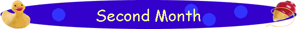 Second Month