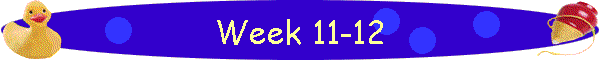 Week 11-12