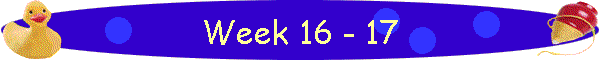 Week 16 - 17