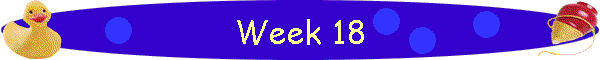 Week 18