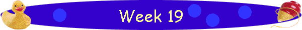 Week 19