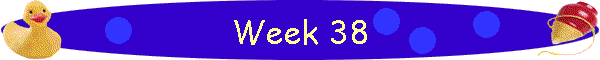 Week 38
