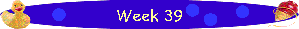 Week 39