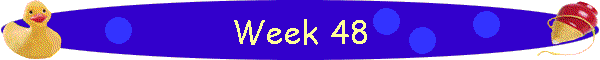 Week 48