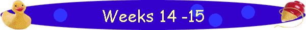 Weeks 14 -15