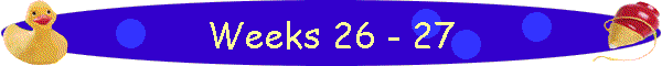 Weeks 26 - 27