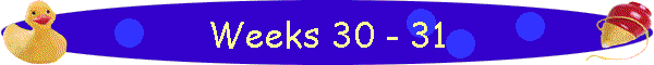 Weeks 30 - 31