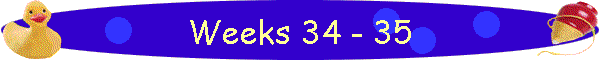Weeks 34 - 35