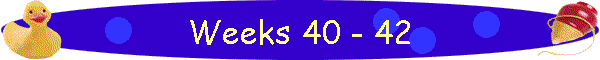 Weeks 40 - 42
