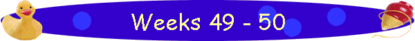 Weeks 49 - 50