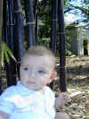 Bamboo Baby
